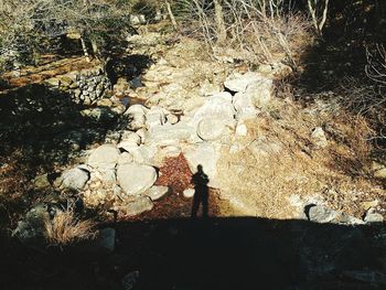 High angle view of man standing on rock in forest