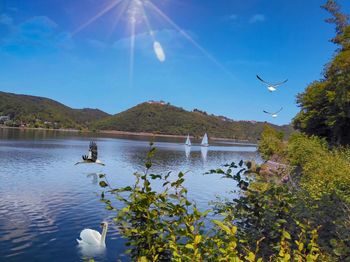 Birds flying over lake against sky