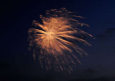 Low angle view of fireworks against sky at night