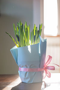 Potted plant on table