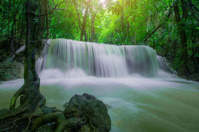 Scenic view of waterfall in forest