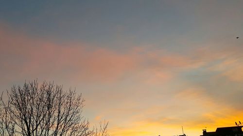 Low angle view of silhouette trees against sky at sunset