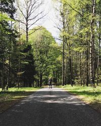 Rear view of man on road amidst trees in forest