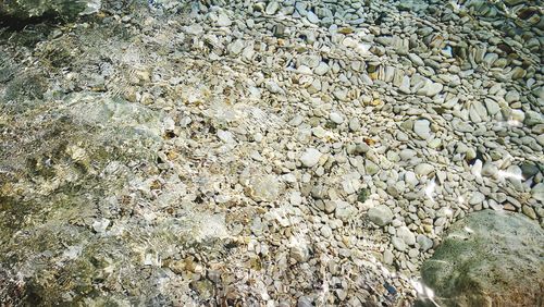 Full frame shot of pebbles on beach