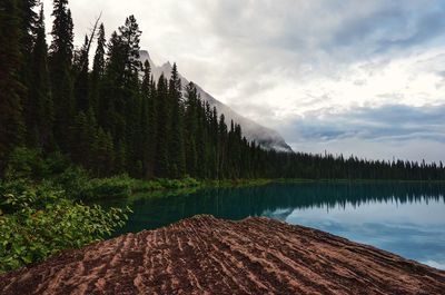 Scenic view of lake by trees against sky