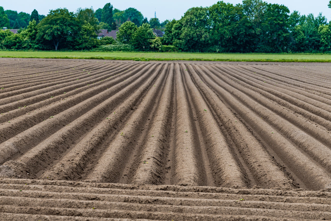 SCENIC VIEW OF FARM