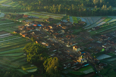 Aerial view of houses and farm