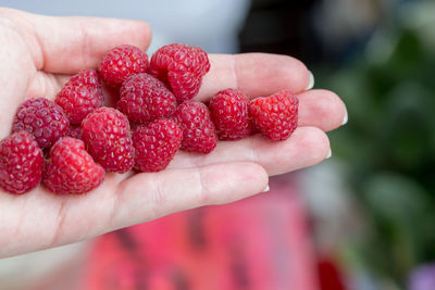 Heap of fresh organic raspberries in hand, healthy diet concept