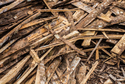 Full frame shot of firewood