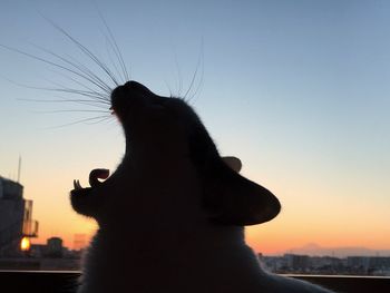 Close-up of silhouette hand holding sun against clear sky