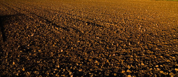 Full frame shot of plowed field. farming