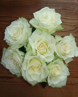 Close-up of white roses