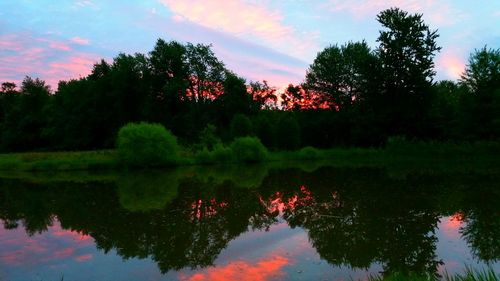 Reflection of trees in lake