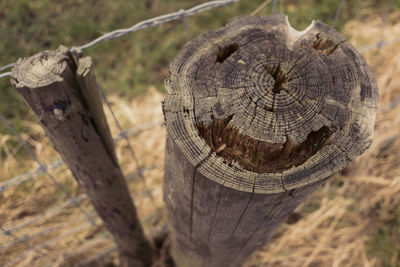 Close-up of tree stump on wooden post