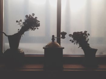 Close-up of vase against window