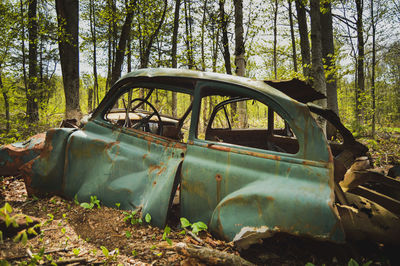 Abandoned car in forest