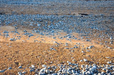 Close-up of birds on beach against blue sky