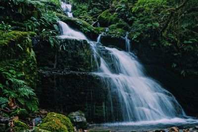 Scenic view of waterfall in forest