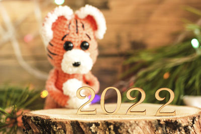Close-up of a stuffed toy