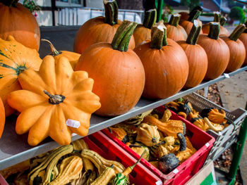 Pumpkins for sale in market