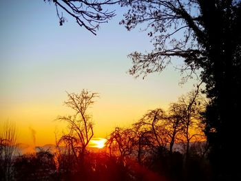 Silhouette bare trees against sky during sunset