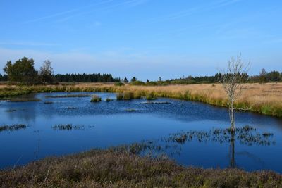 Scenic view of lake against sky