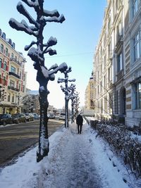 People walking on street amidst buildings during winter