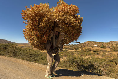 Rear view of woman standing on field against sky