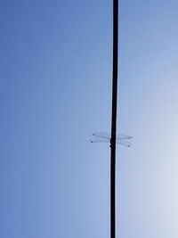 Low angle view of street light against sky