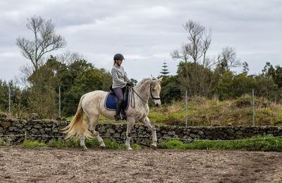 White lusitano horse with female rider, outdoors, horse riding, sport.