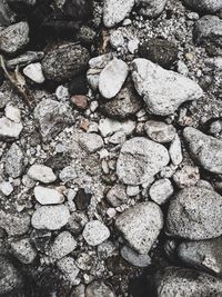 Full frame shot of pebbles on beach