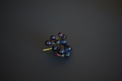 Close-up of berries over black background