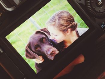 domestic animals