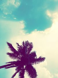 Low angle view of palm tree against sky