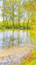 Reflection of trees in lake against sky