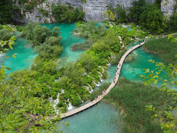 High angle view of trees by lake