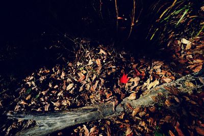 Illuminated sea against sky at night