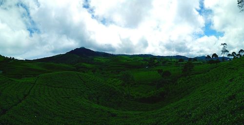 Panoramic view of green landscape against sky