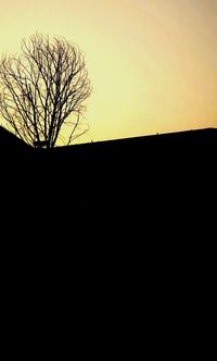 Bare trees against sky at sunset