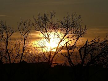 Silhouette bare trees against sky during sunset