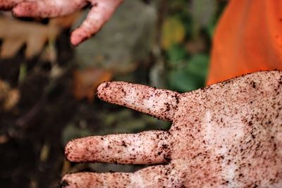 Close-up of human hand on rock