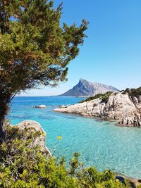 Scenic view of sea against clear blue sky