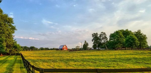 Scenic view of field against sky