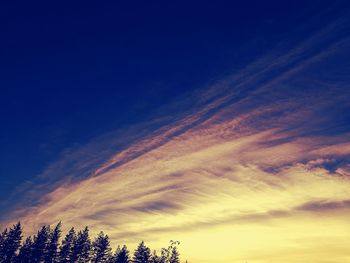 Low angle view of trees against blue sky