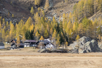 The colours of autumn at the alpe devero, little village in the mountains