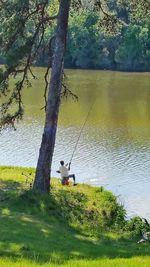 View of trees by lake