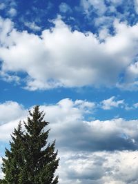 Low angle view of tree against sky