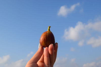 Close-up of hand holding apple against blue sky