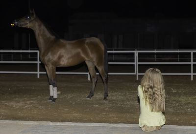 Rear view of young girl watching a horse standing outdoors