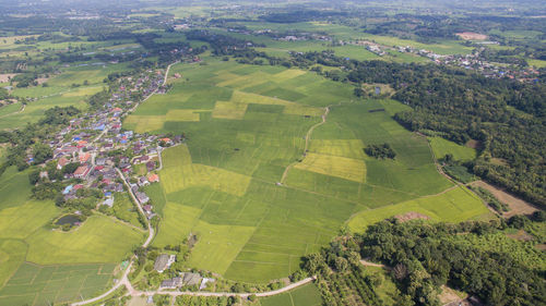 Aerial view of agricultural field